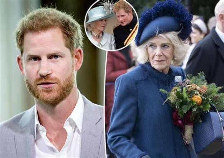 Prince Harry Claims Queen Consort Camilla Leaked Princess Catherine