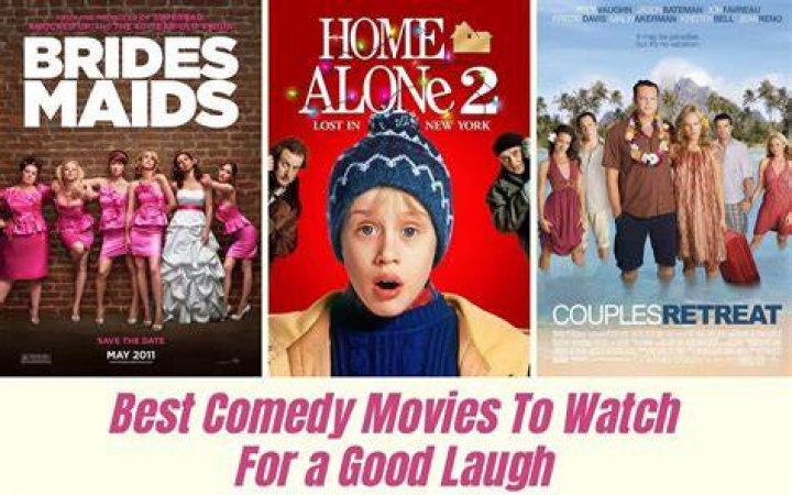 The Funniest Movies Of 2015: A Guaranteed Laugh Riot
