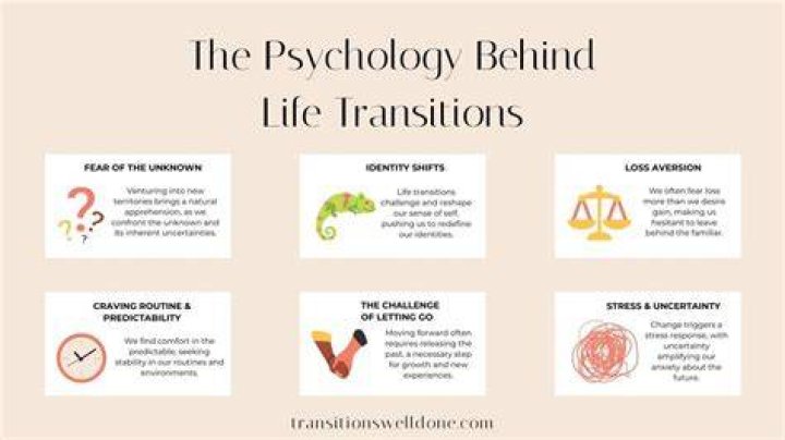 The Ultimate Guide To Understanding Shiloh Transitions